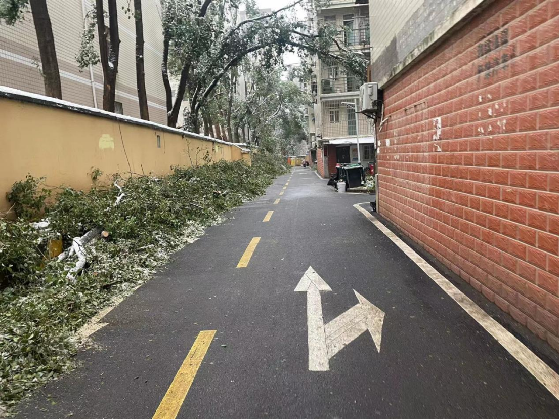 老子有钱lzyq88(中国)有限公司官网