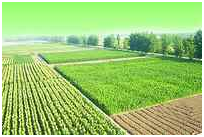 老子有钱lzyq88(中国)有限公司官网