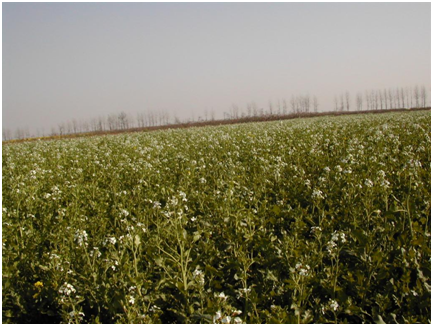 老子有钱lzyq88(中国)有限公司官网