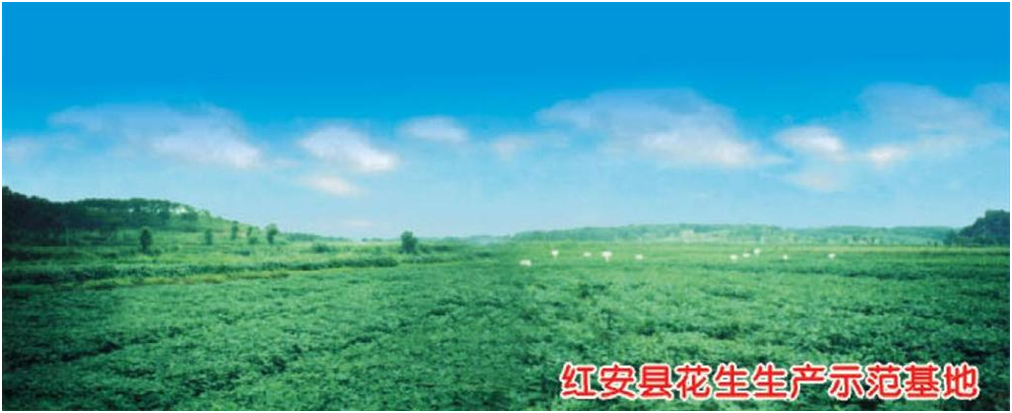 老子有钱lzyq88(中国)有限公司官网