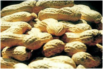 老子有钱lzyq88(中国)有限公司官网