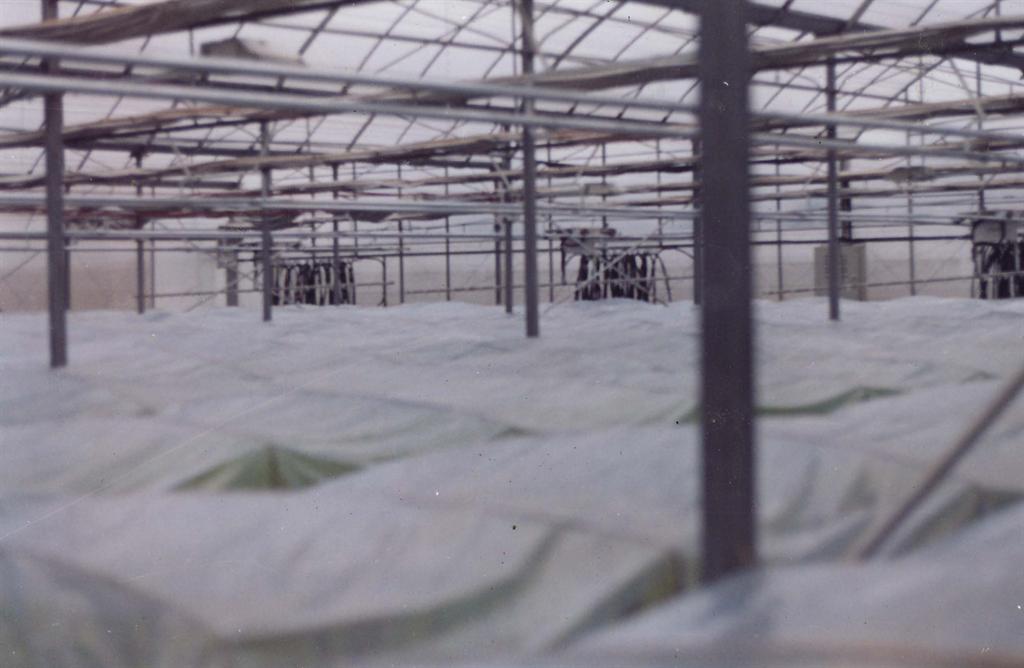 老子有钱lzyq88(中国)有限公司官网