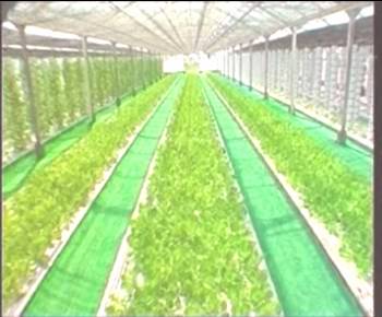 老子有钱lzyq88(中国)有限公司官网